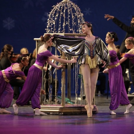The Nutcracker Ballet Virtual Field Trip with Children’s Center for Dance Education with the EPO/EYPO and Evansville Children’s Choir